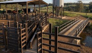 Trilhos Usados no Agronegócio: Cercas, Galpões, Silos